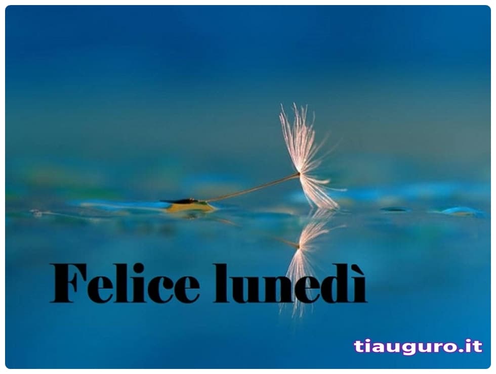 immagini buon lunedì