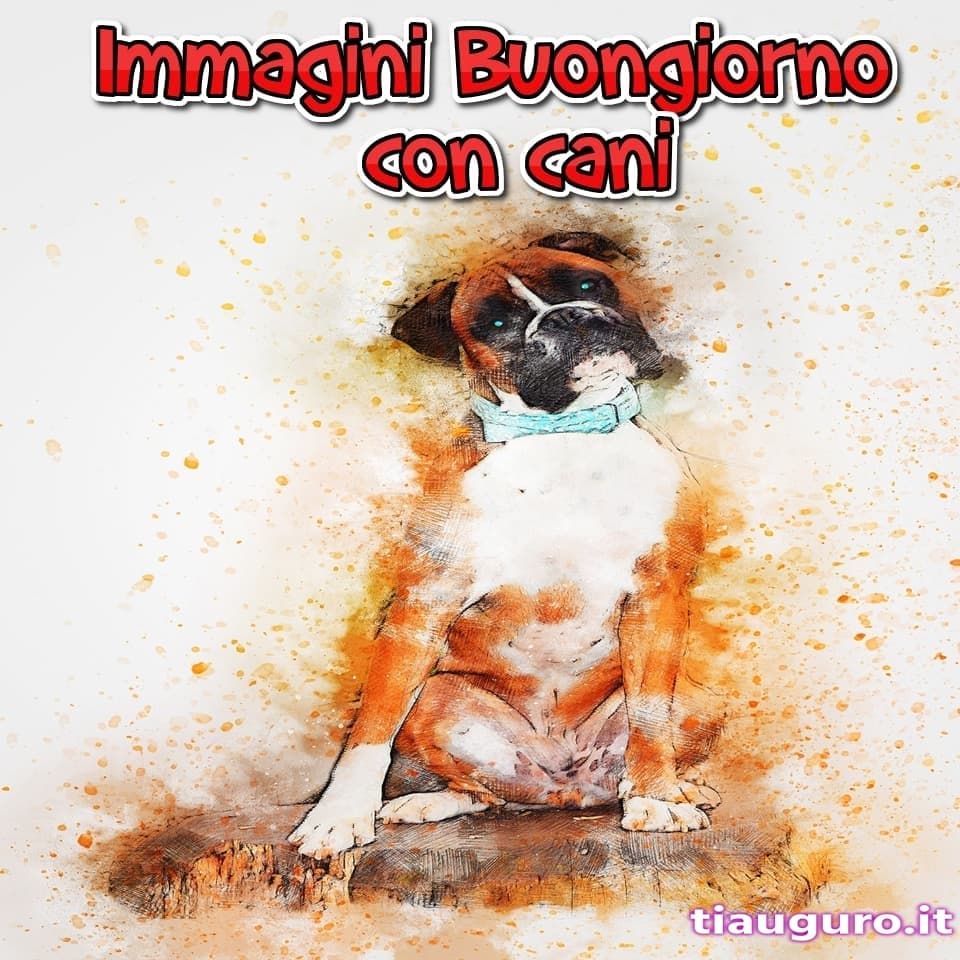 Immagini buongiorno con cani