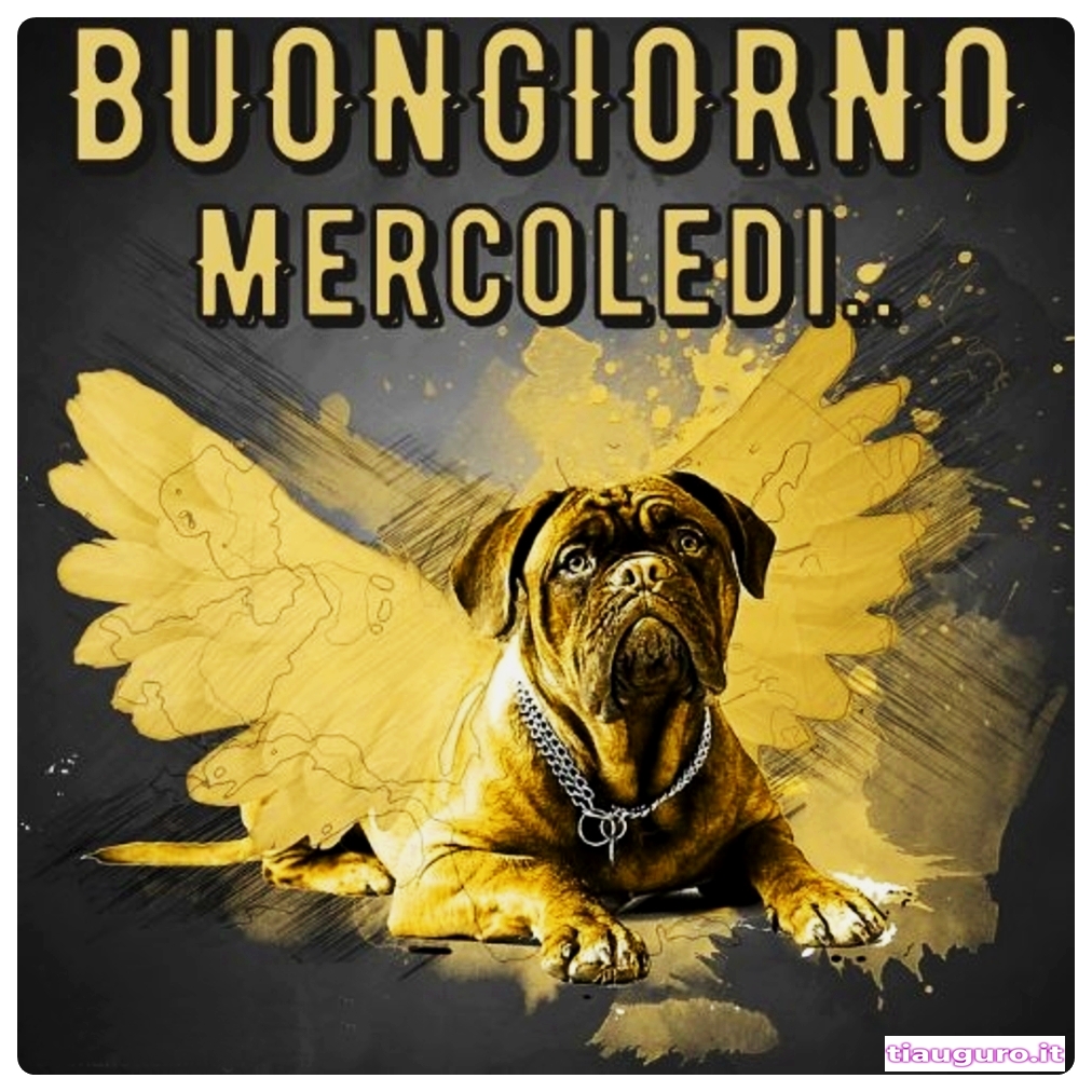 immagini buon Mercoledì