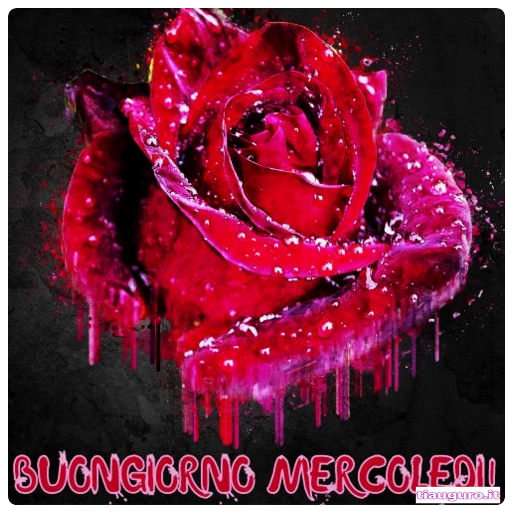 immagini buon Mercoledì