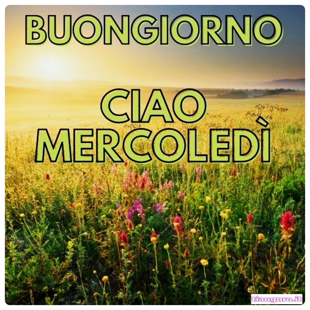 immagini buon Mercoledì