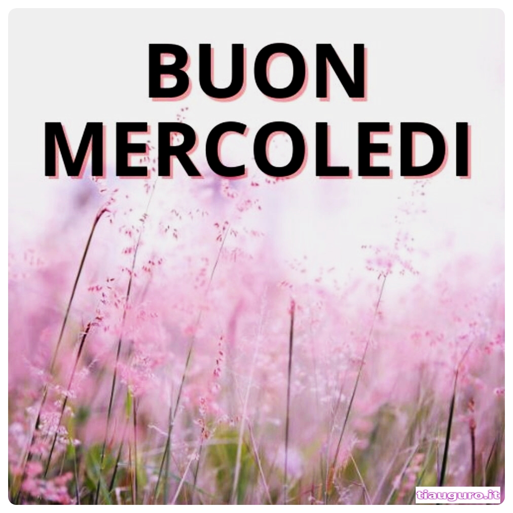immagini buon Mercoledì