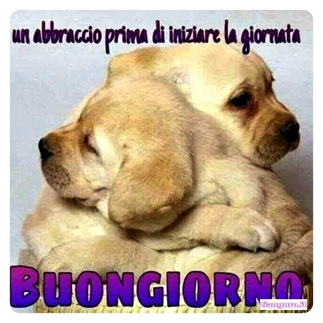 Buongiorno con immagini di cani