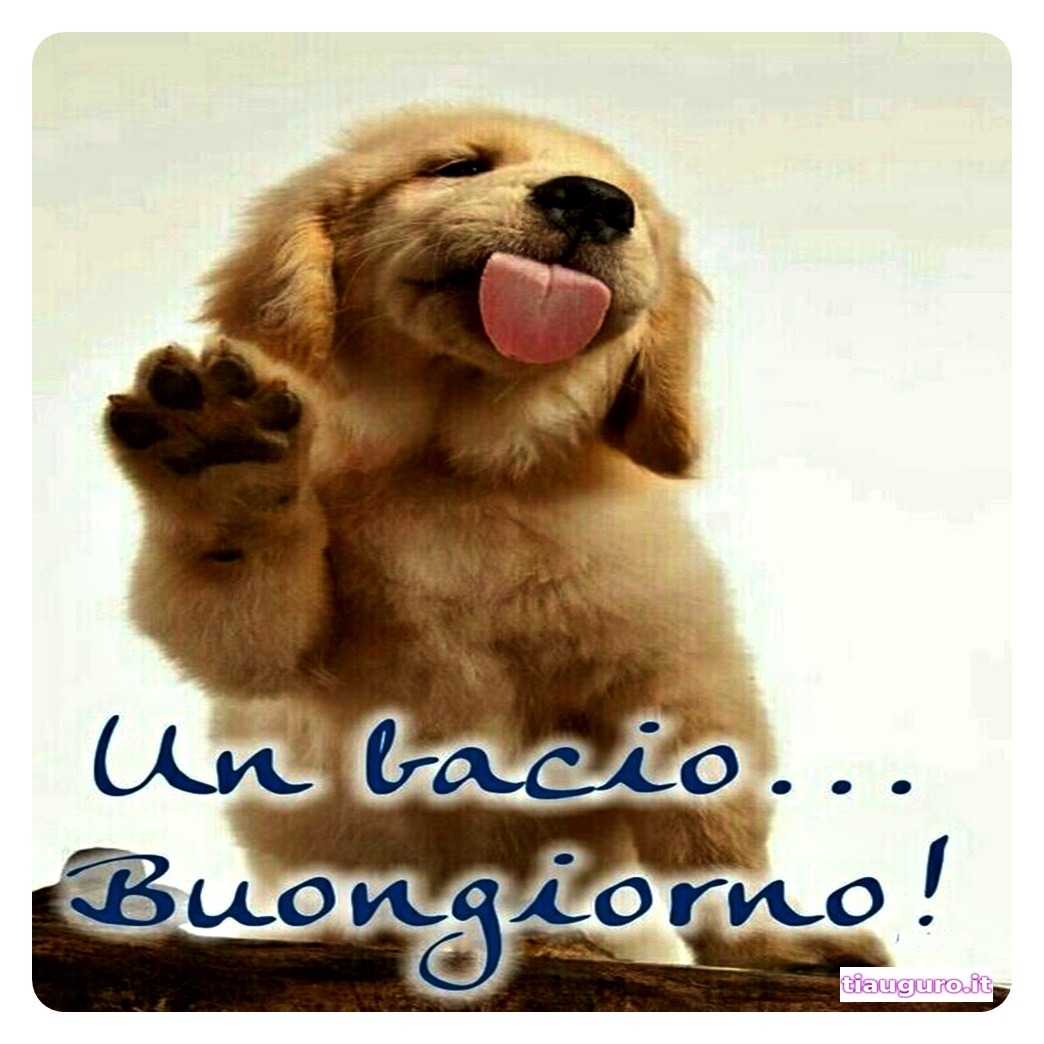 Buongiorno con immagini di cani