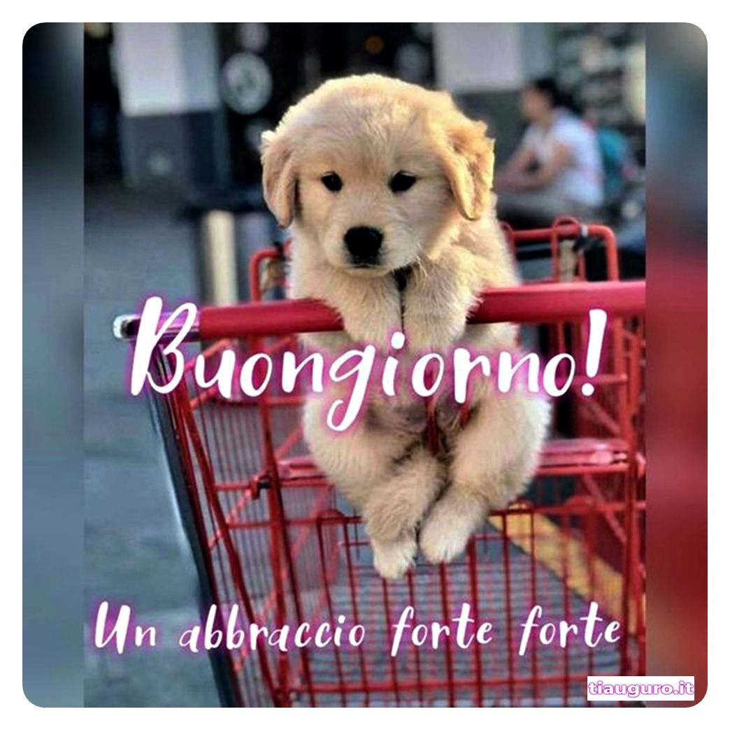 Buongiorno con immagini di cani