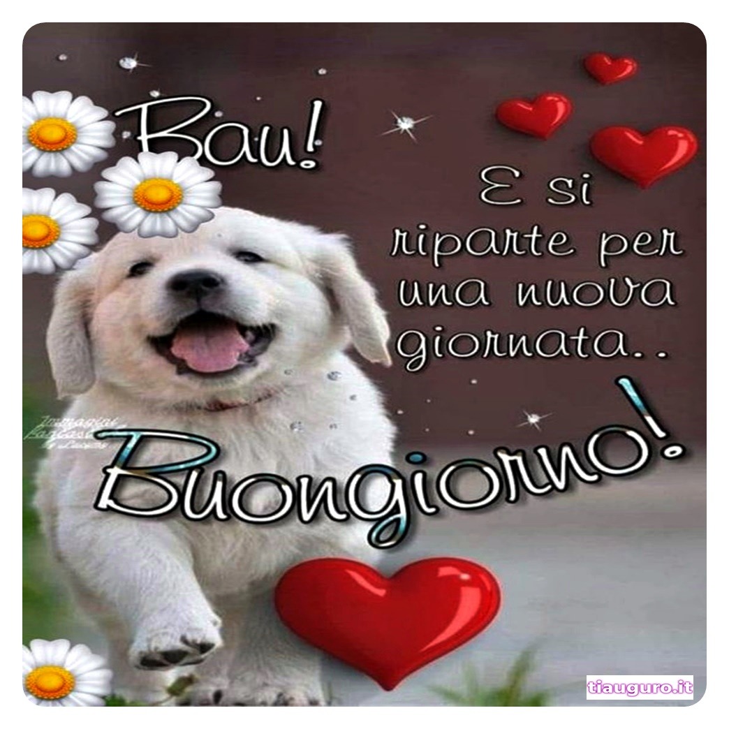 Buongiorno con immagini di cani