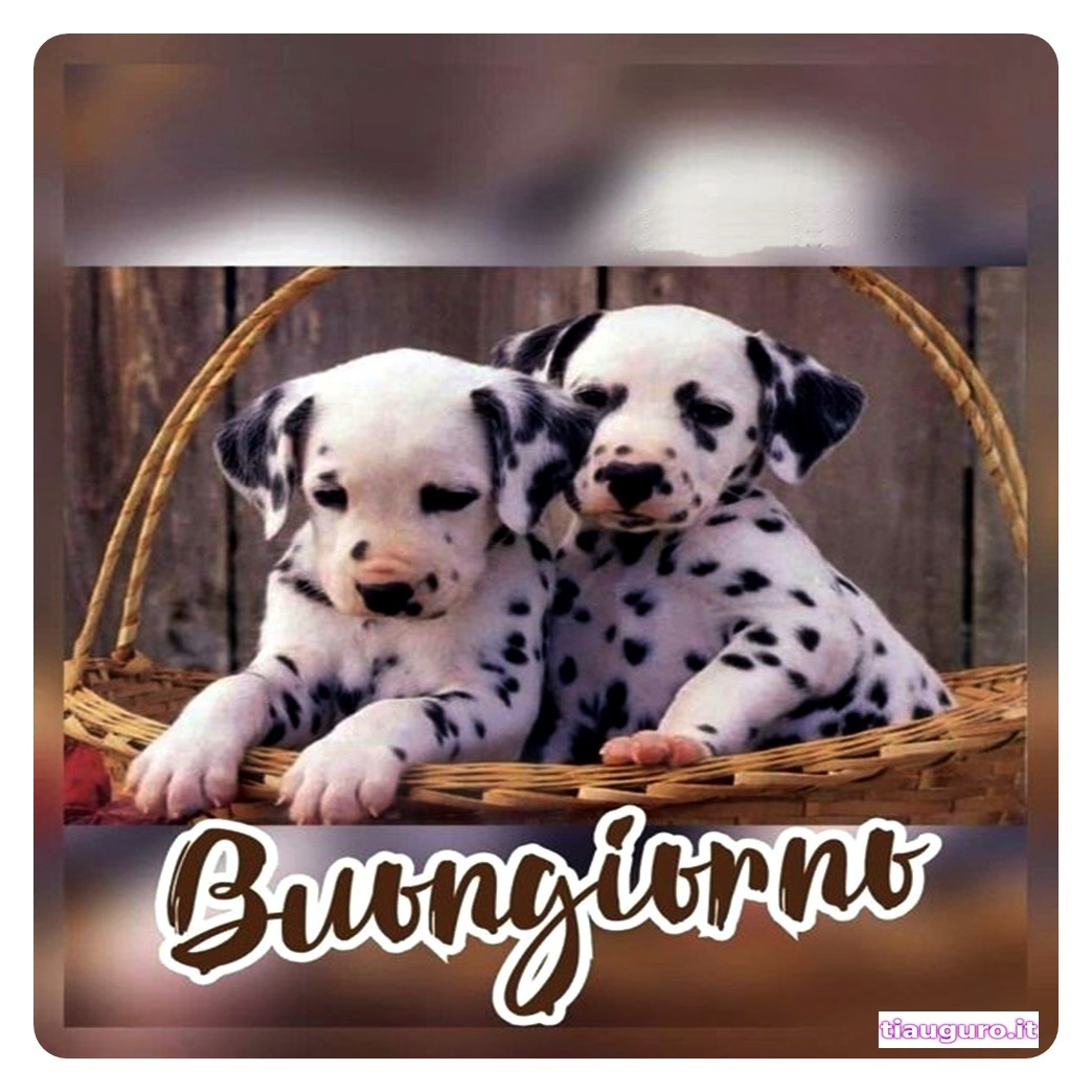 Buongiorno con immagini di cani