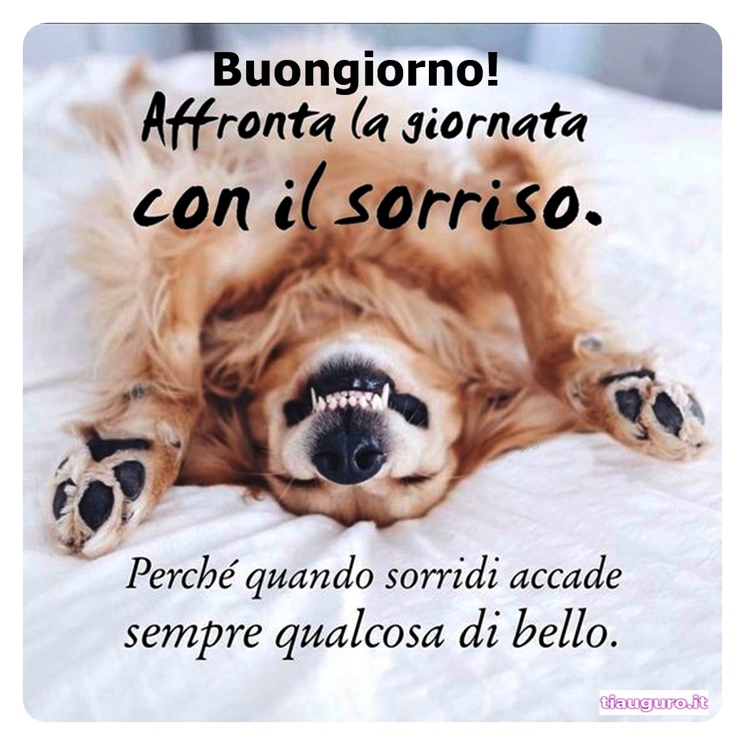 Buongiorno con immagini di cani