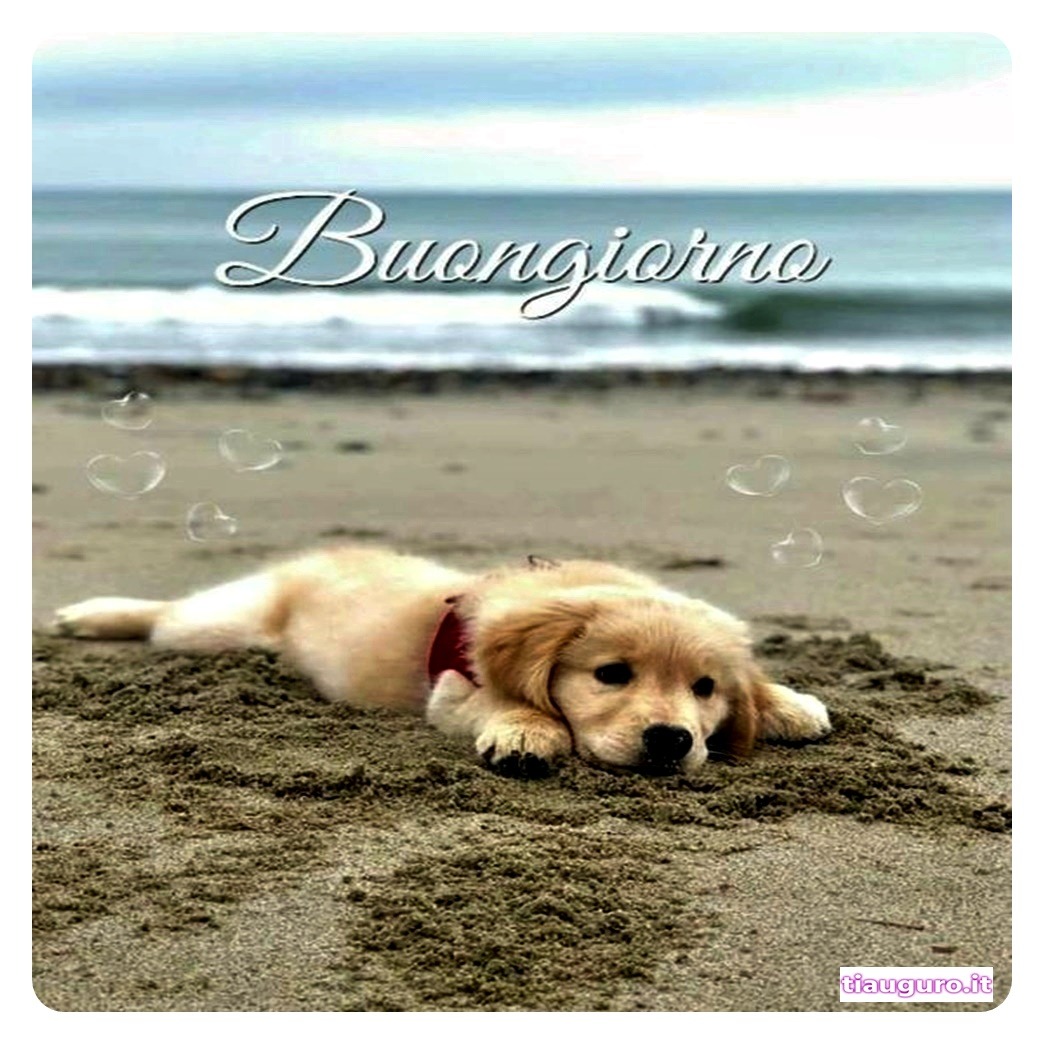 Buongiorno con immagini di cani