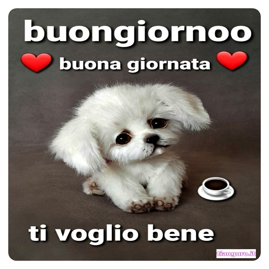 Buongiorno con immagini di cani