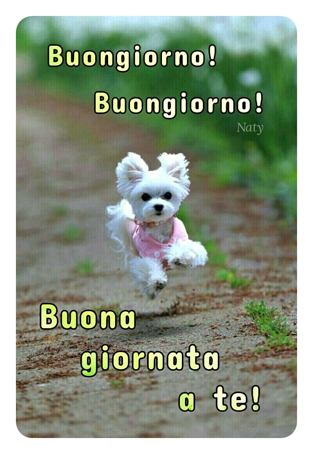 Buongiorno con immagini di cani
