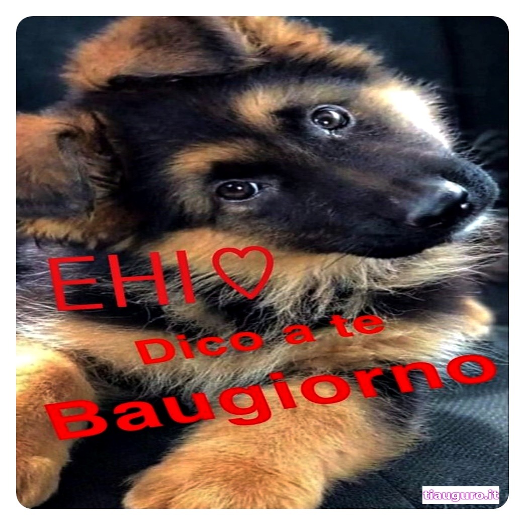 Buongiorno con immagini di cani