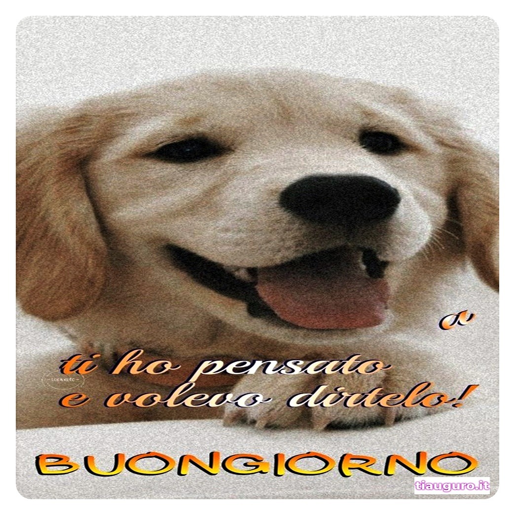 Buongiorno con immagini di cani