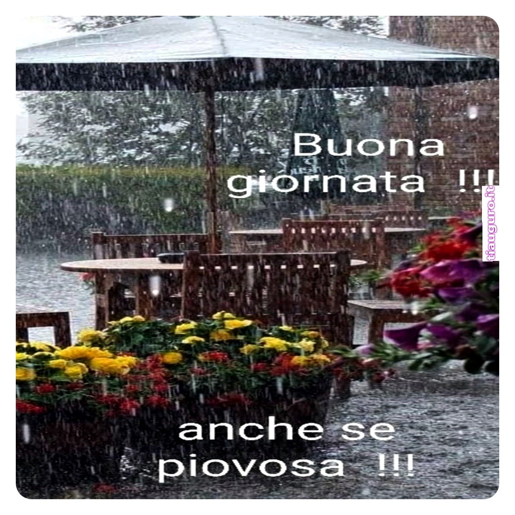 immagini buongiorno piovoso