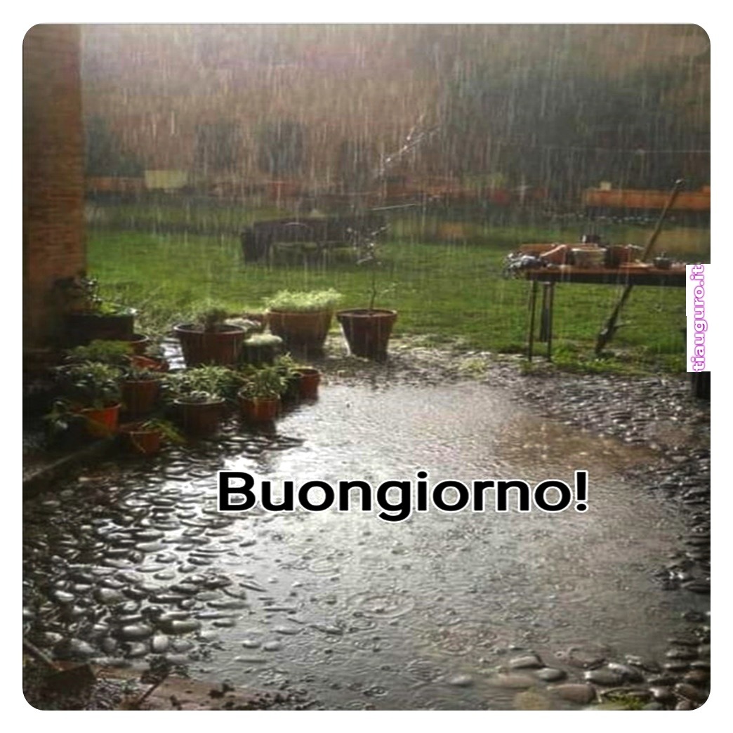 immagini buongiorno piovoso