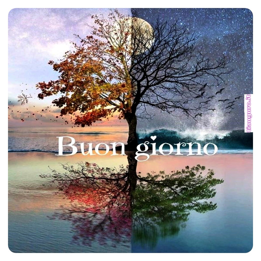 immagini buongiorno piovoso