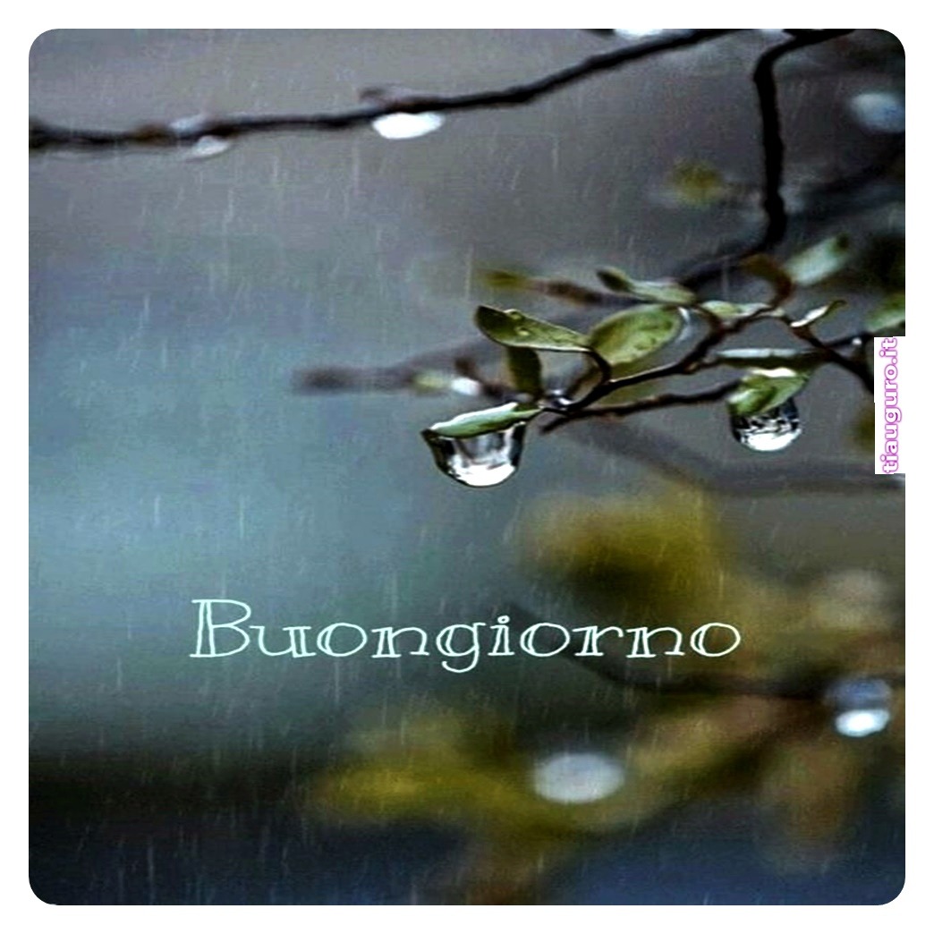 immagini buongiorno piovoso