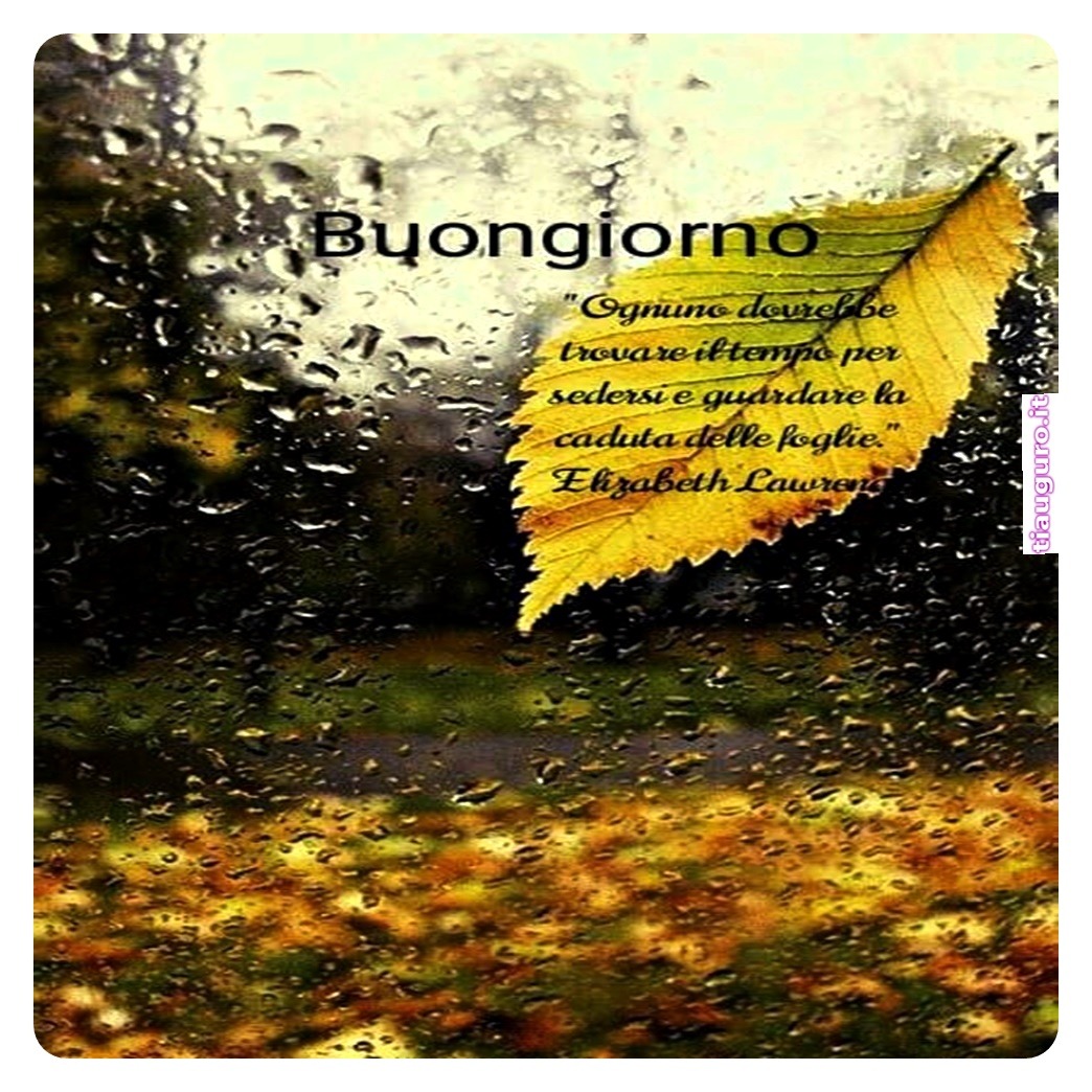 immagini buongiorno piovoso