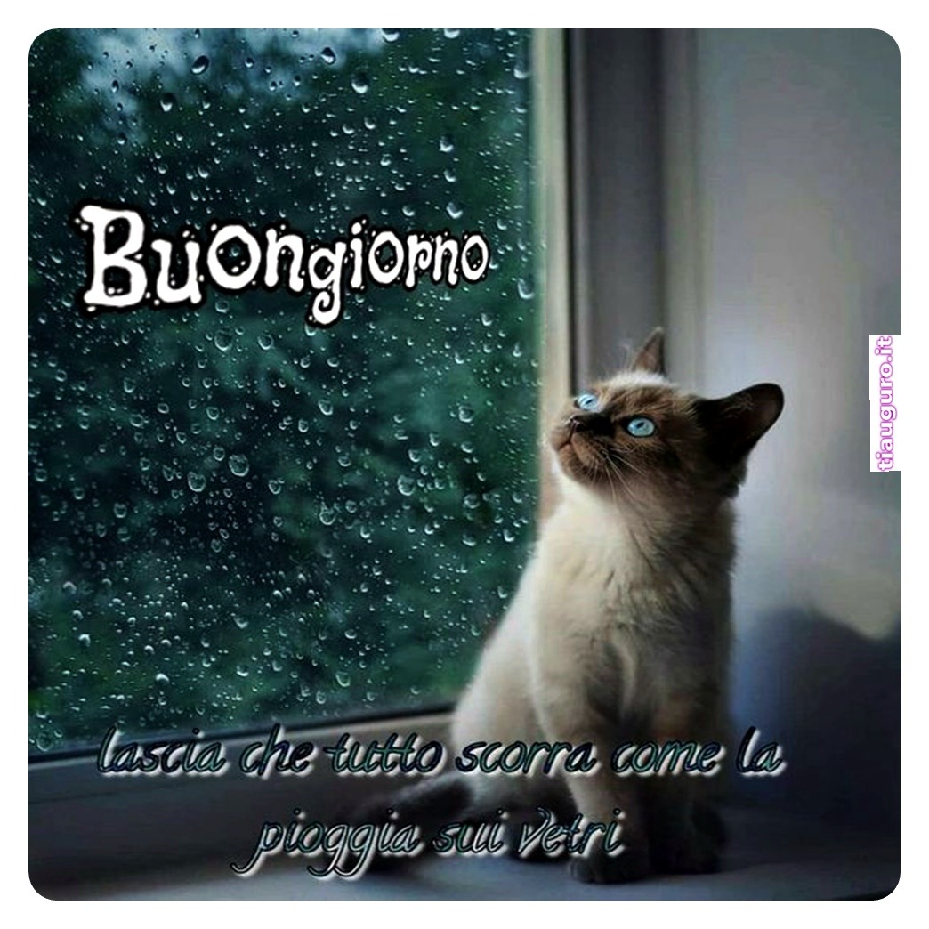 immagini buongiorno piovoso