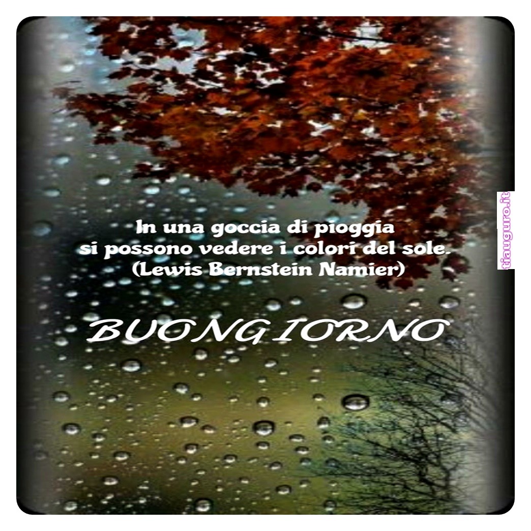 immagini buongiorno piovoso