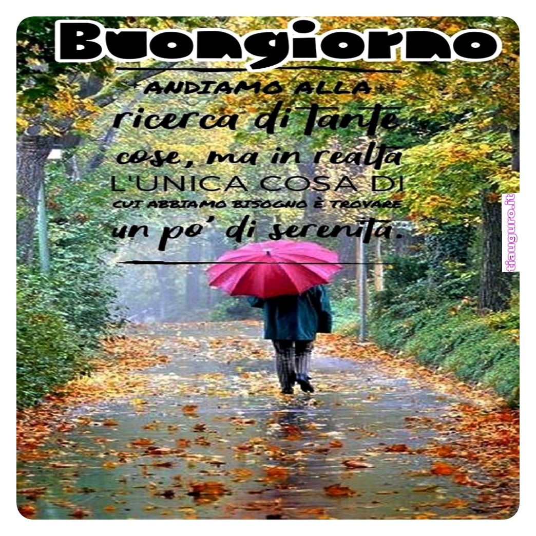 immagini buongiorno piovoso