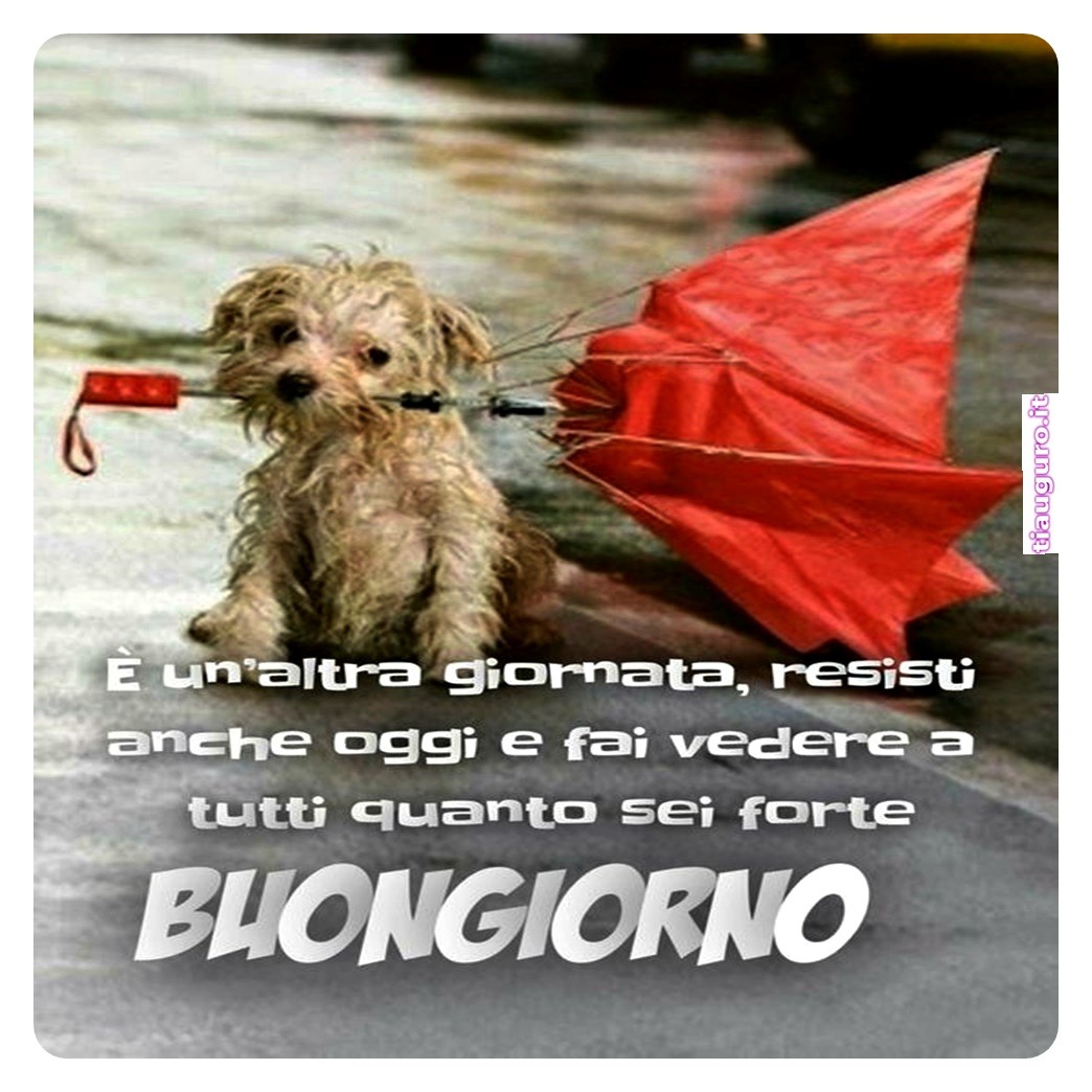 immagini buongiorno piovoso