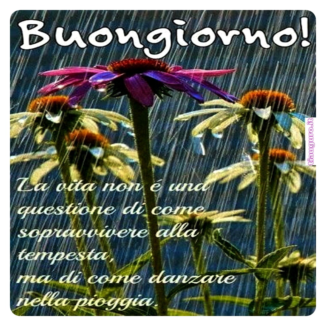 immagini buongiorno piovoso