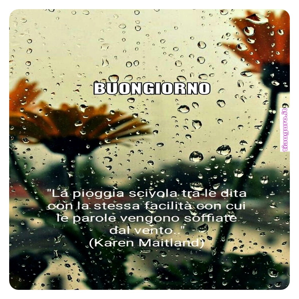 immagini buongiorno piovoso