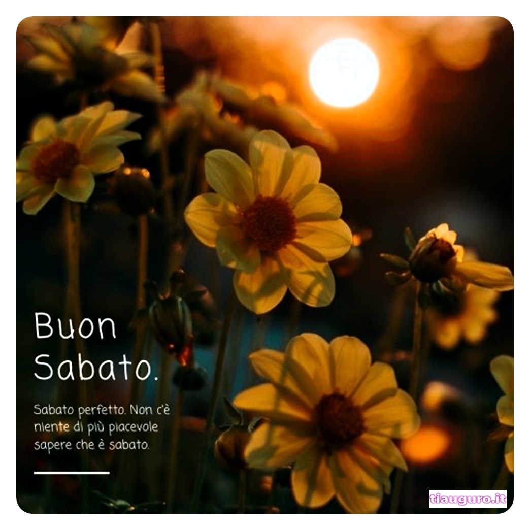 Immagini buon sabato