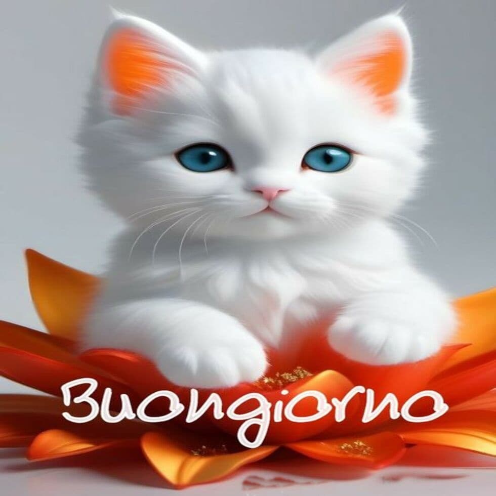 Immagini buongiorno con gatti