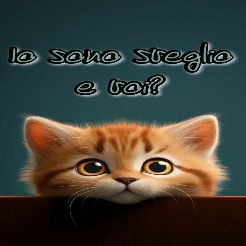 Immagini buongiorno con gatti