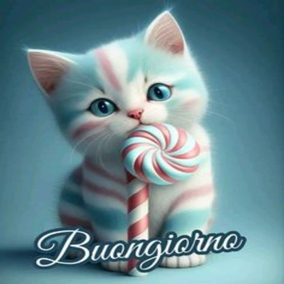 Immagini buongiorno con gatti