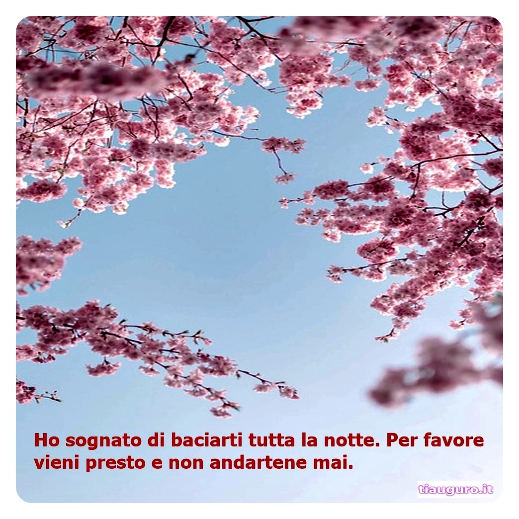 immagini Buongiorno Amore