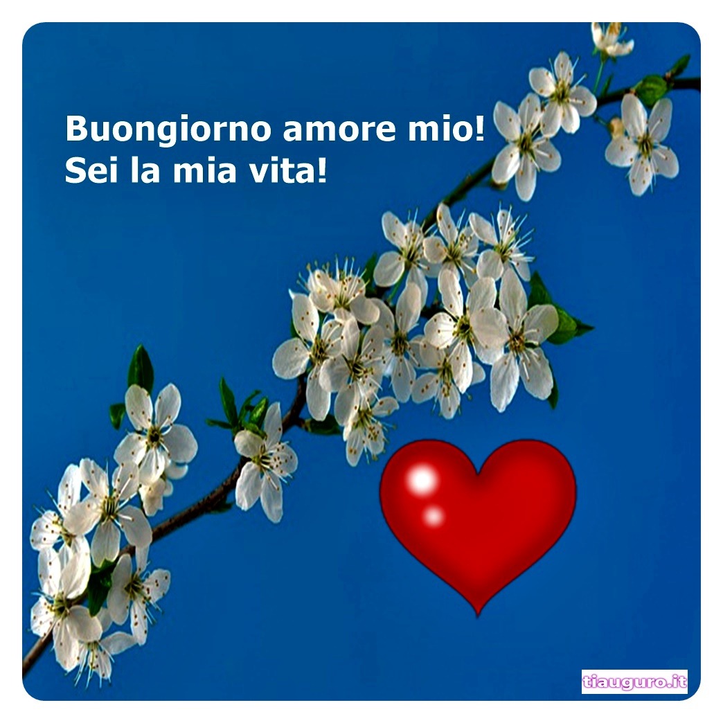 immagini Buongiorno Amore