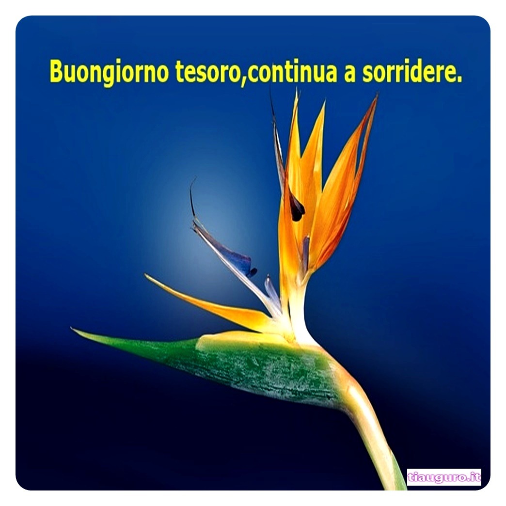 immagini Buongiorno Amore