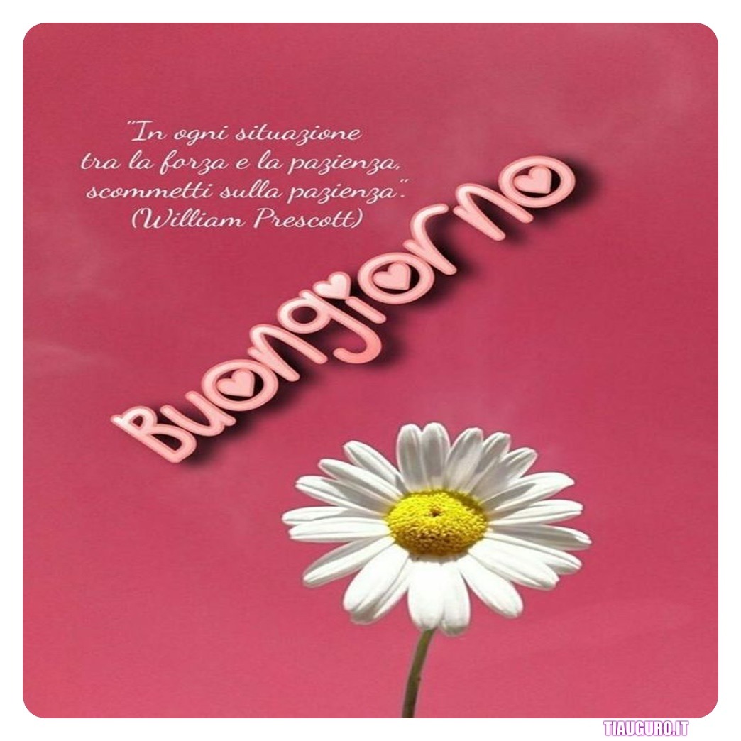Immagini Buongiorno amici