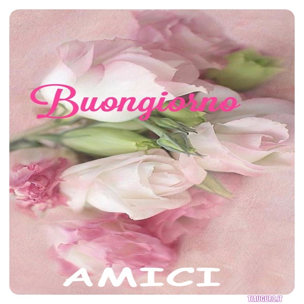 Immagini Buongiorno amici