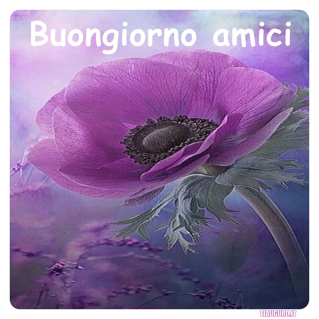Immagini Buongiorno amici