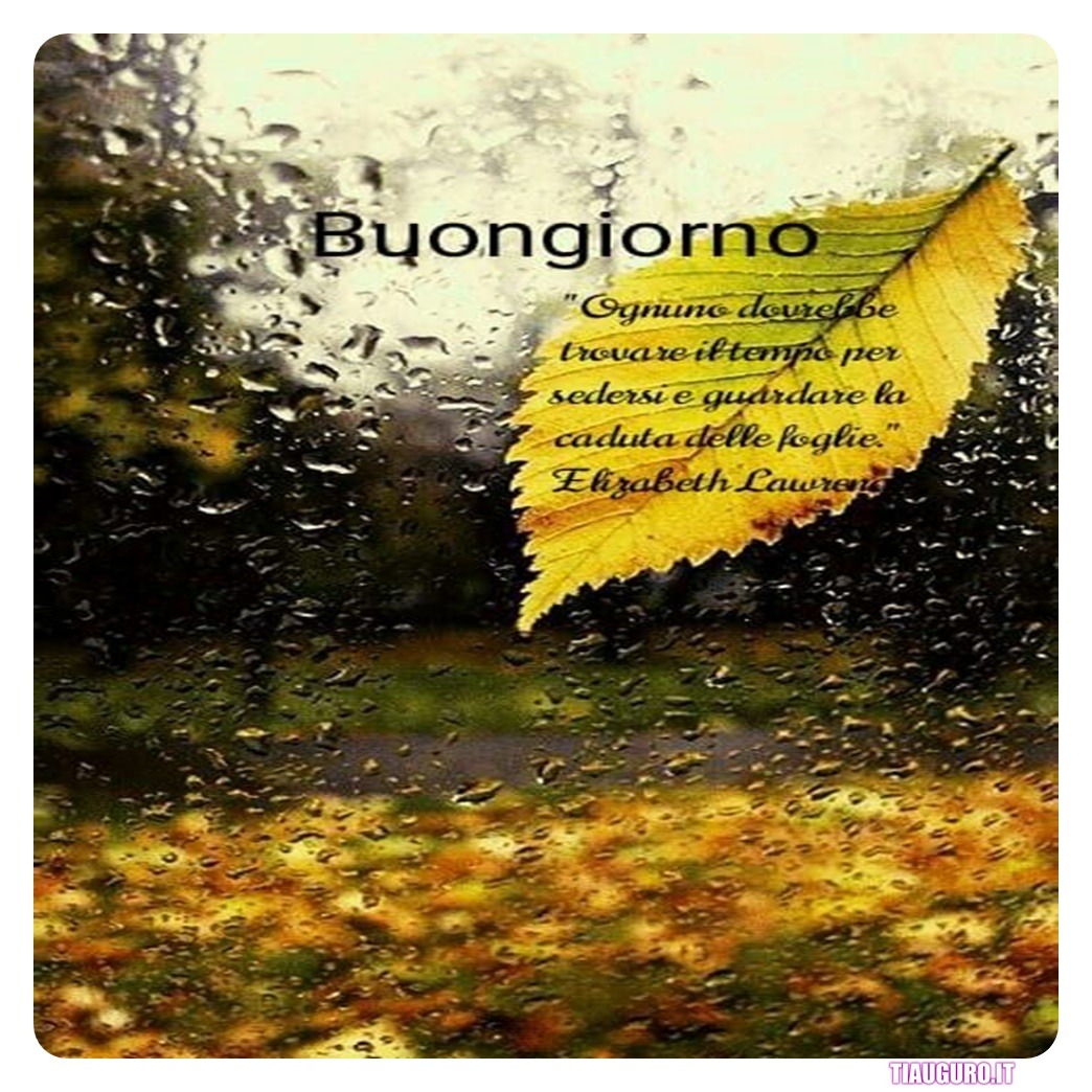 Immagini Buongiorno amici
