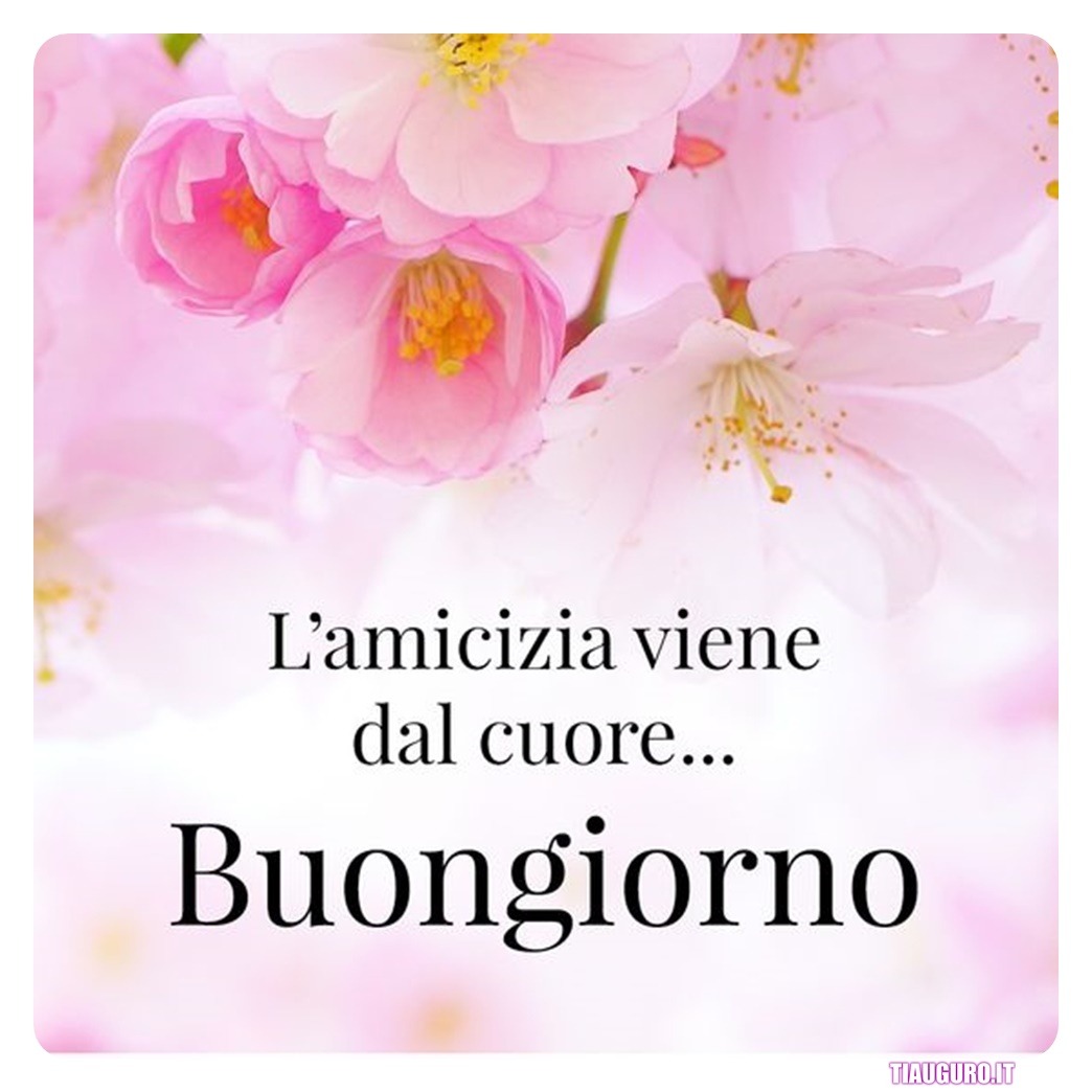 Immagini Buongiorno amici