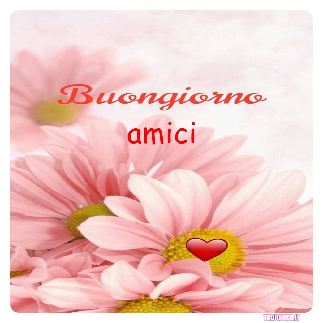 Immagini Buongiorno amici