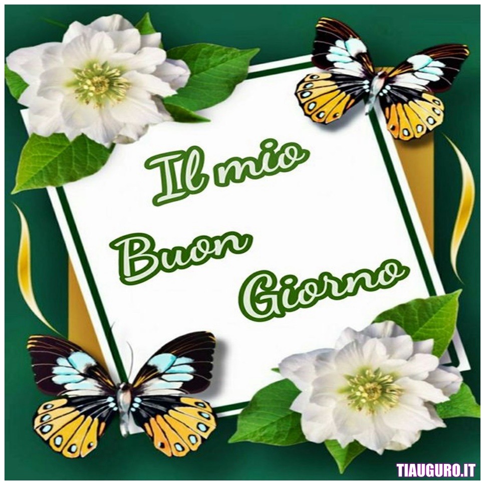 Immagini Buongiorno con fiori