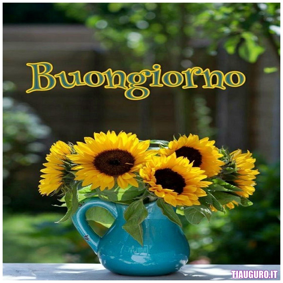 Immagini Buongiorno con fiori