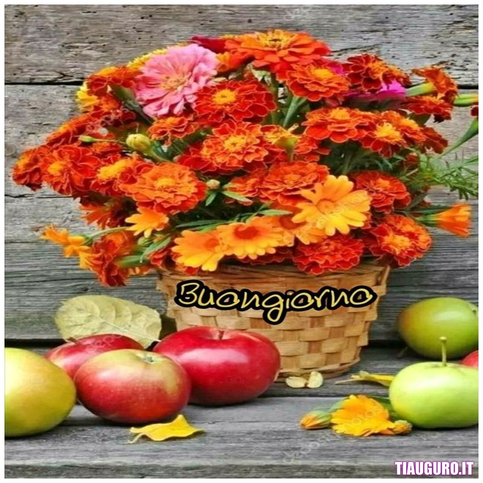 Immagini Buongiorno con fiori