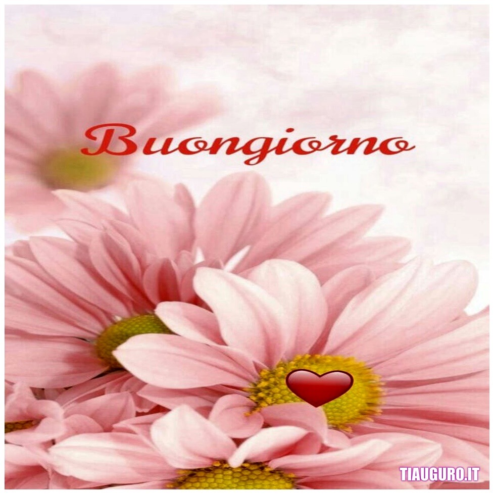 Immagini Buongiorno con il cuore