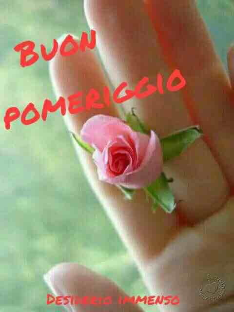 immagini buon pomeriggio