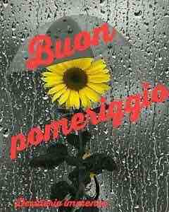 immagini buon pomeriggio