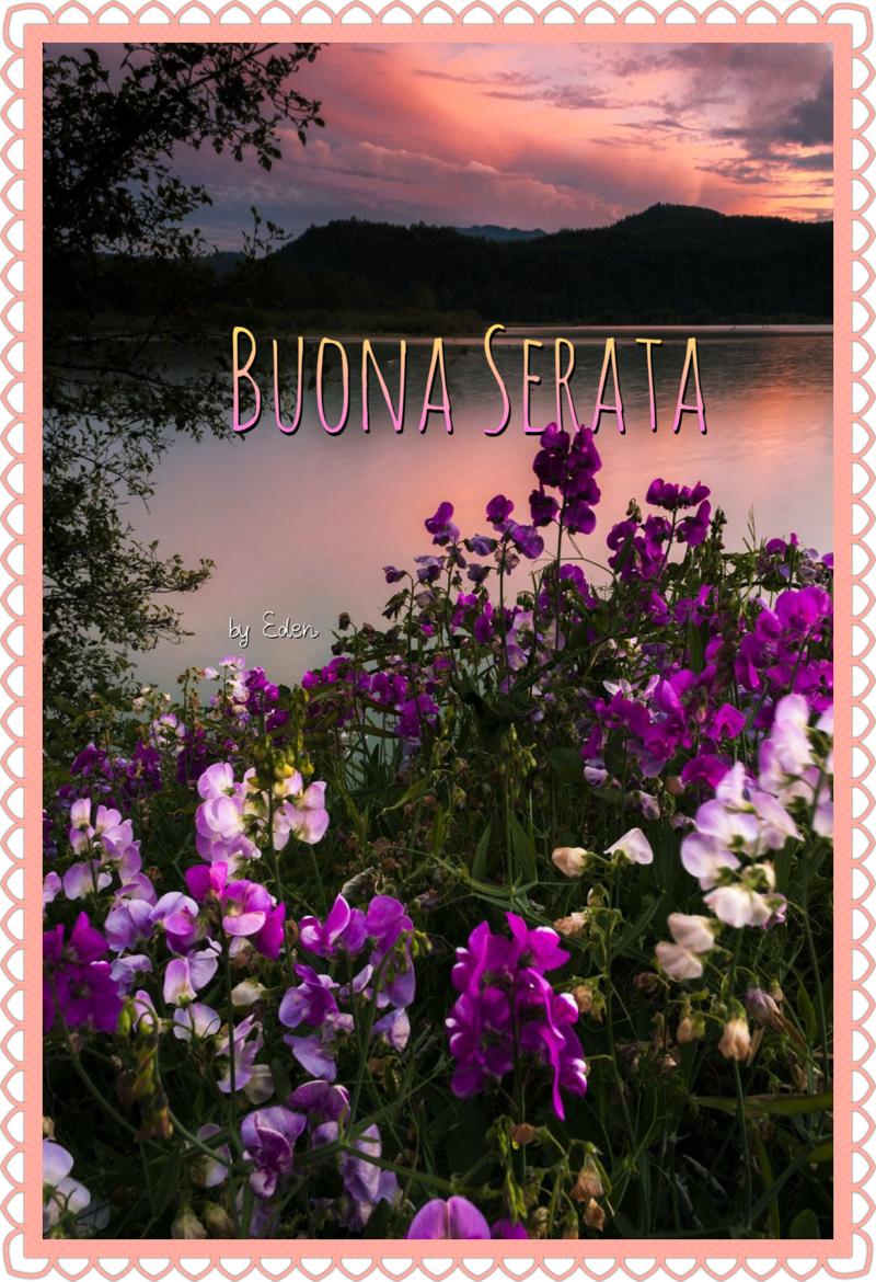 immagini buona serata