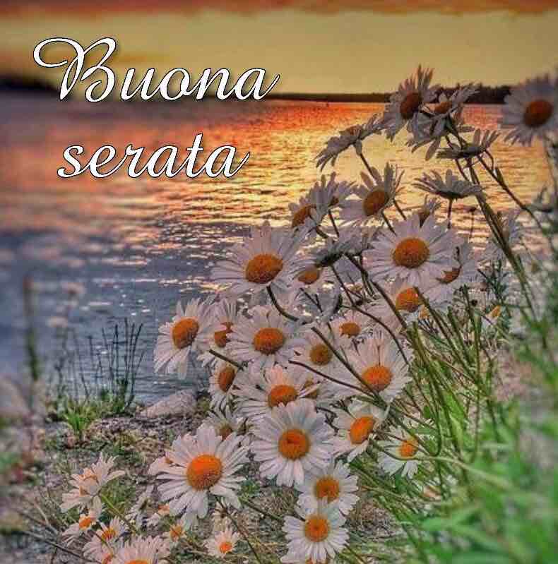 immagini buona serata