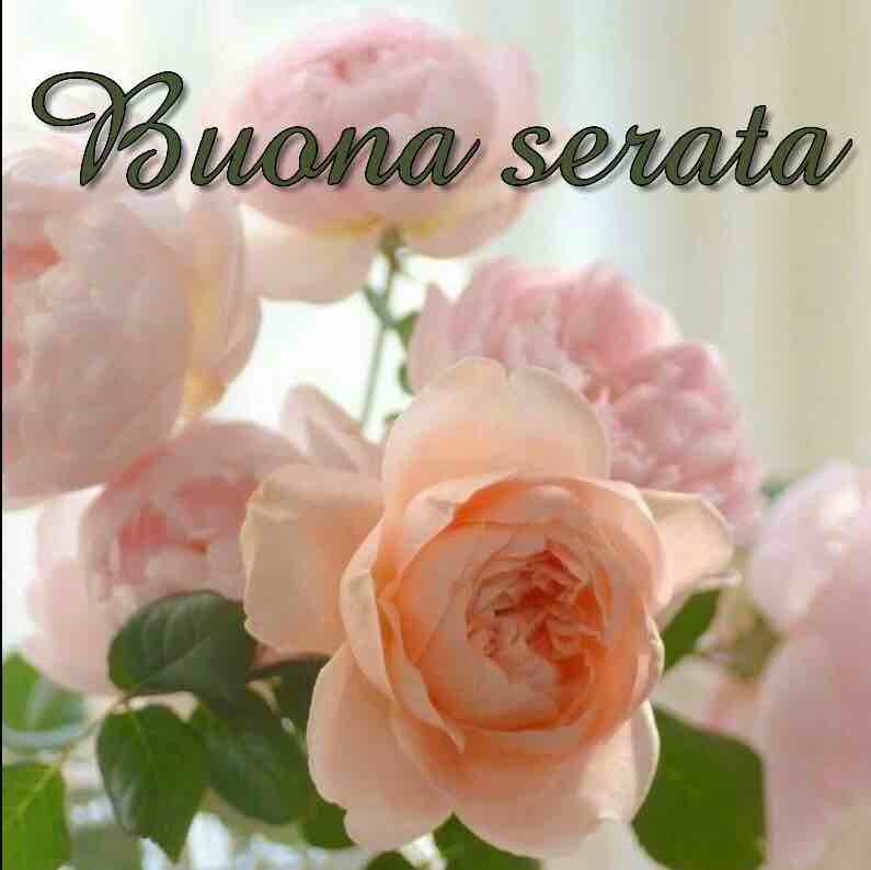 immagini buona serata